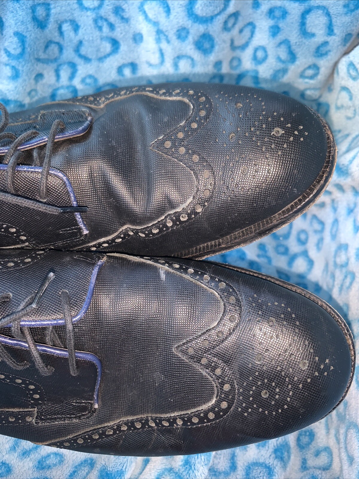 SAOLA Scarpe eleganti casual da uomo COLE HAAN blu grigio pelle a punta di ala Oxford 10 M ottime condizioni (16