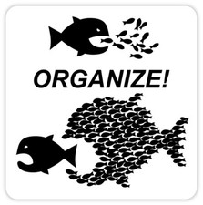 Organize Fish Sticker Decal 4 X 4