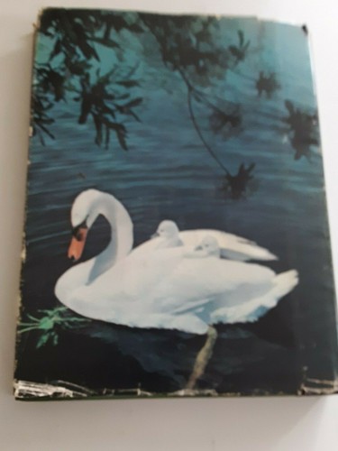 OUR AMAZING WORLD OF NATURE ITS MARVELS & MYSTERIES READER'S DIGEST 1969 HCDJ - Picture 5 of 5