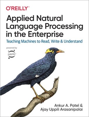 Applied Natural Language Processing in the Enterprise: Teaching Machines to Read