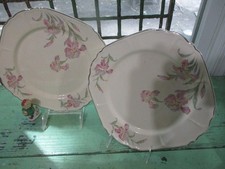 Universal Cambridge Iris Square Plates