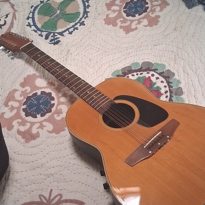12 string guittar