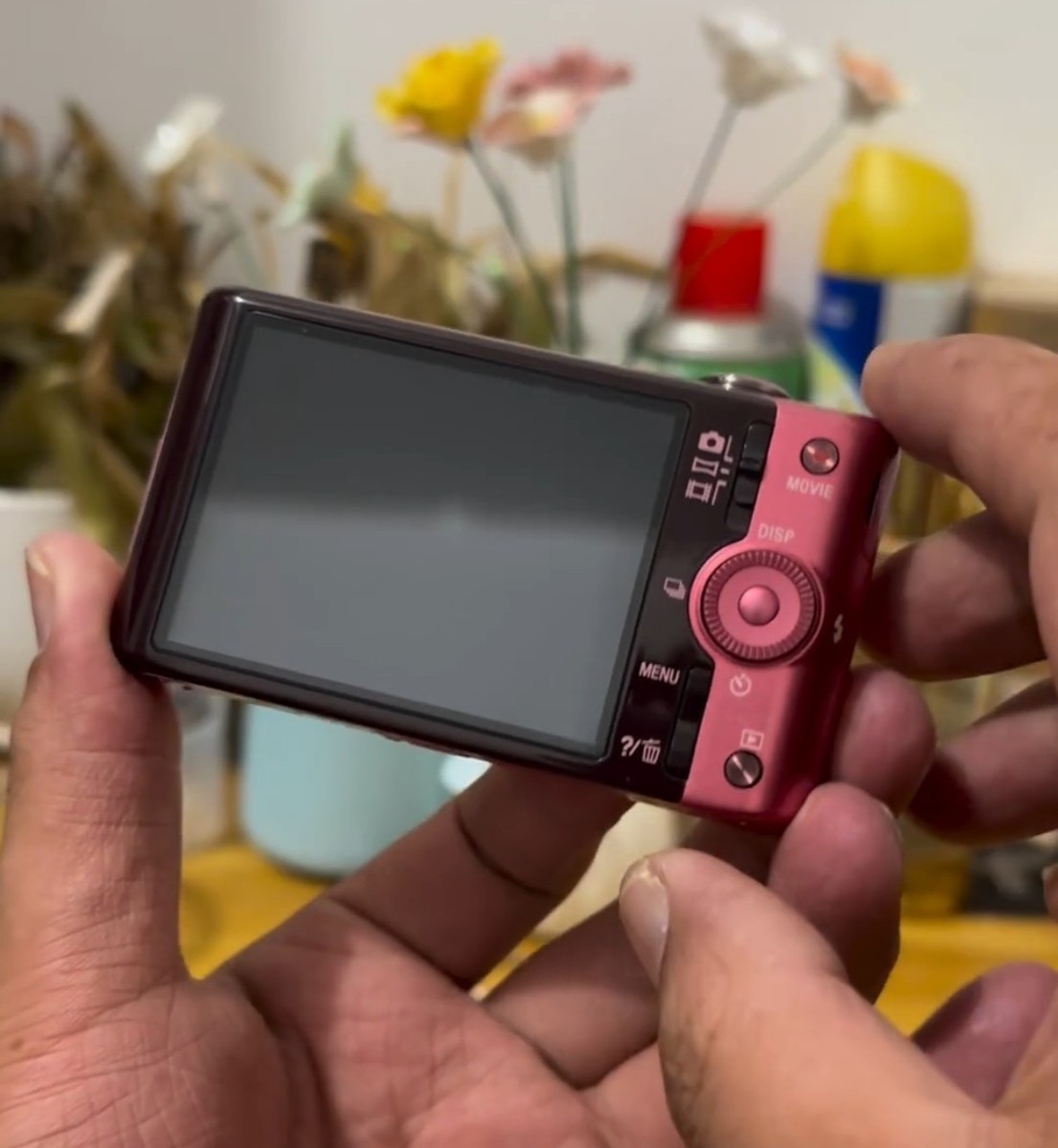 SONY Cyber-shot DSC WX100 Pink 18.2MP Vintage Digital Camera w