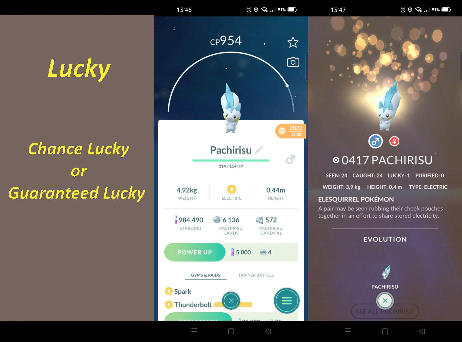 Pachirisu Pokemon Go Location and Map - Full Guide