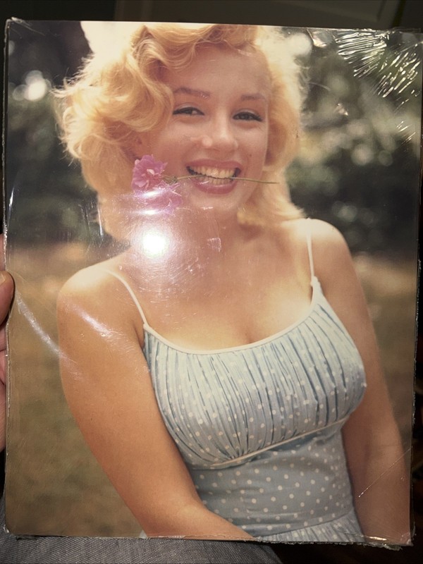7 Vintage Marilyn Monroe Large Postcards 8" X 10" Not Posted