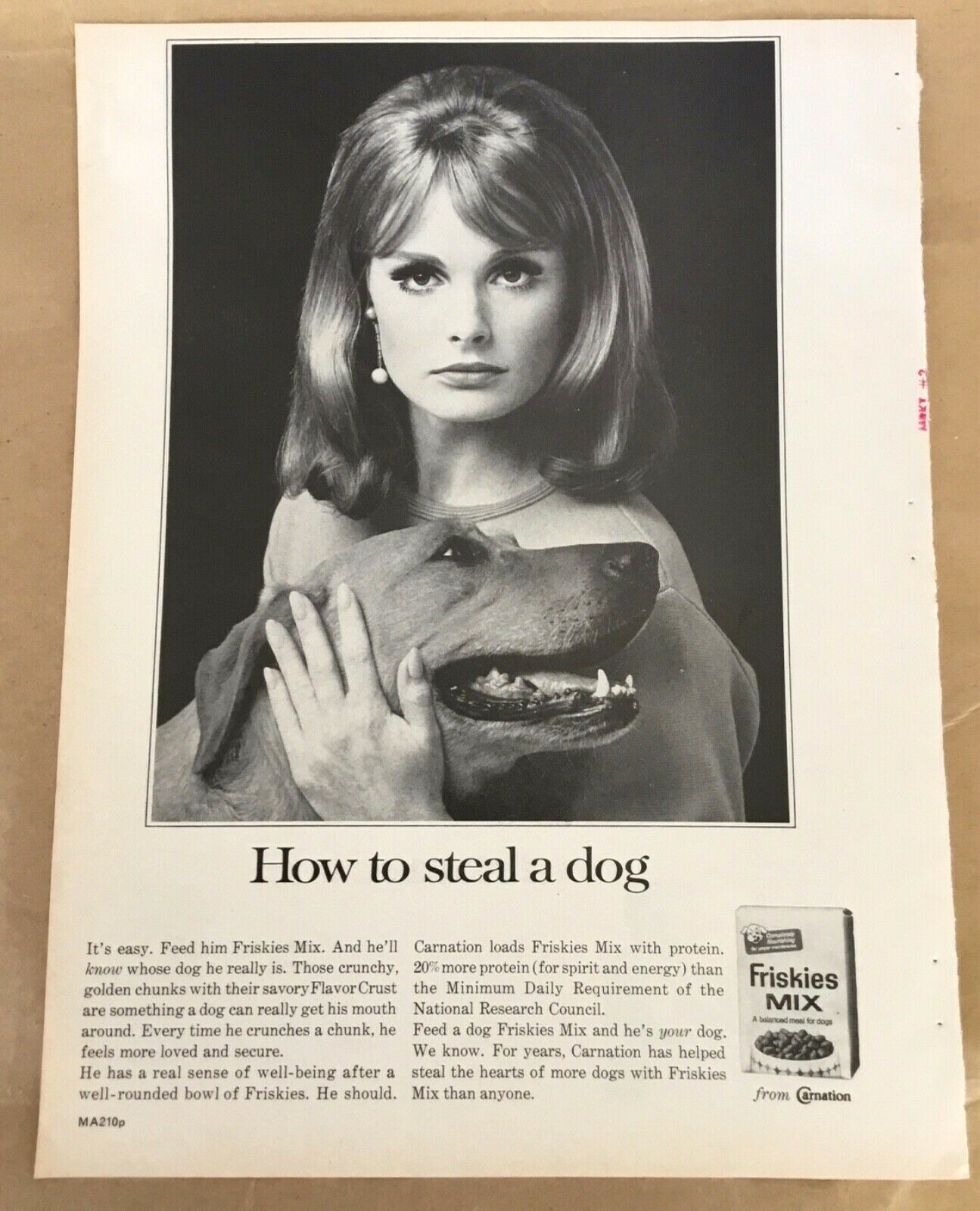 Friskies dog food 1966 vintage print 60s retro home decor Carnation