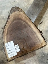 Black Walnut Slab #2011, live edge slab, unfinished, free shipping