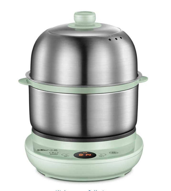Bar Electric Small Food Steamer 2 Tier
