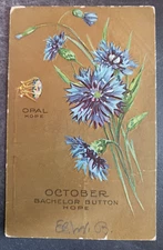 vtg postcard 1911 Greetings October bachelor Button Hope Opal gold
