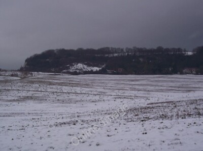 Foto 6x4 Ansicht von Frith Wood und den North Downs Kit's Coty aus dem Jahr 2009 gesehen