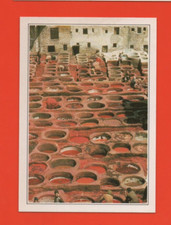 Lehrbild - Marokko - FES - Das Gerberviertel ...