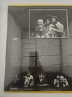 Foto 6 di 12