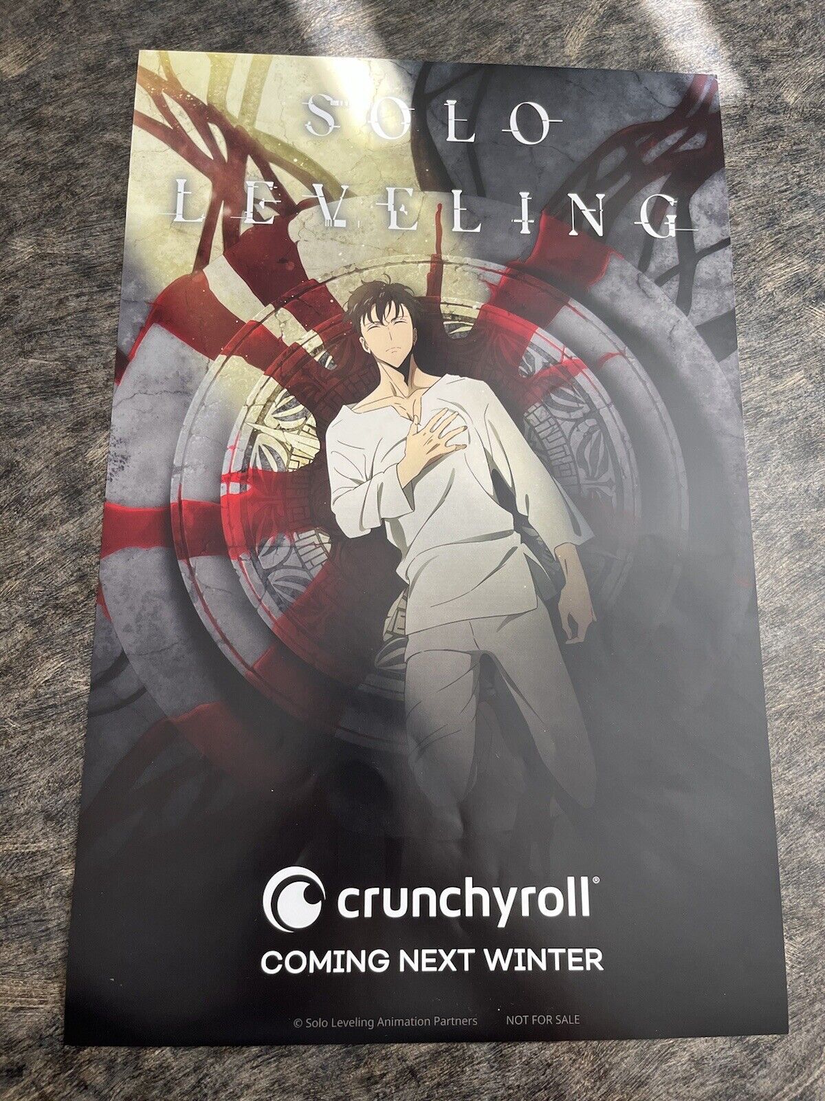 NEW Anime Expo 2023 Backpack / Promo Bag Crunchyroll Solo leveling