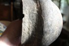 Bild 9 von 13