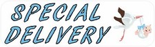 10 X 3 Blue Special Delivery Bumper Magnet Magnetic Baby Car Truck Decal Magnets