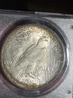 1923 $1 Peace Dollar PCGS MS64 Rattler Toned