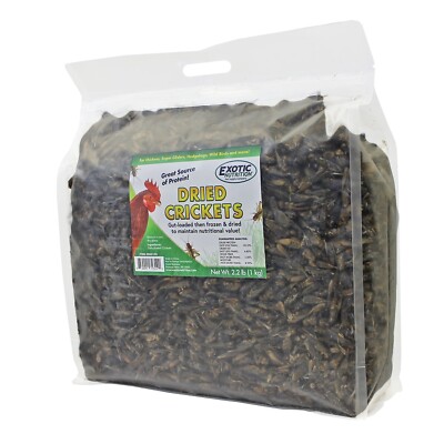 Dried Crickets 2.2 LB- Dried Insect Treat - Hedgehog, Bird, Sugar Glider