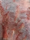 Bild 7 von 12