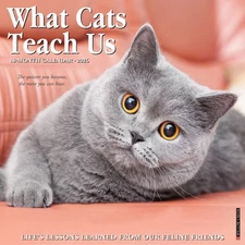 What Cats Teach Us 2026 12" x 12" Wall Calendar (free shipping)