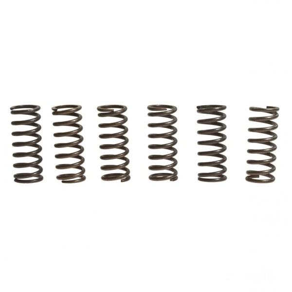 Kupplungsfeder VerstäRkt (6Stk) EBC CSK028 FüR Honda VF 750 C Magna 1993-2000-image