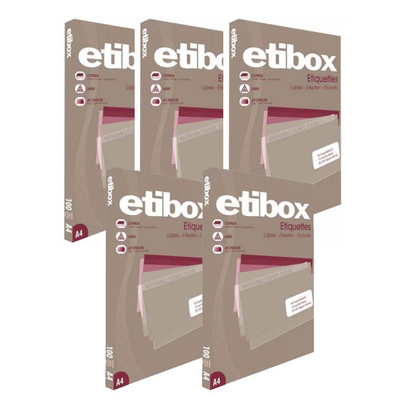 Lot de 5 boites Etibox Apli 119753 de 1600 etiquettes blanches pour impression laser