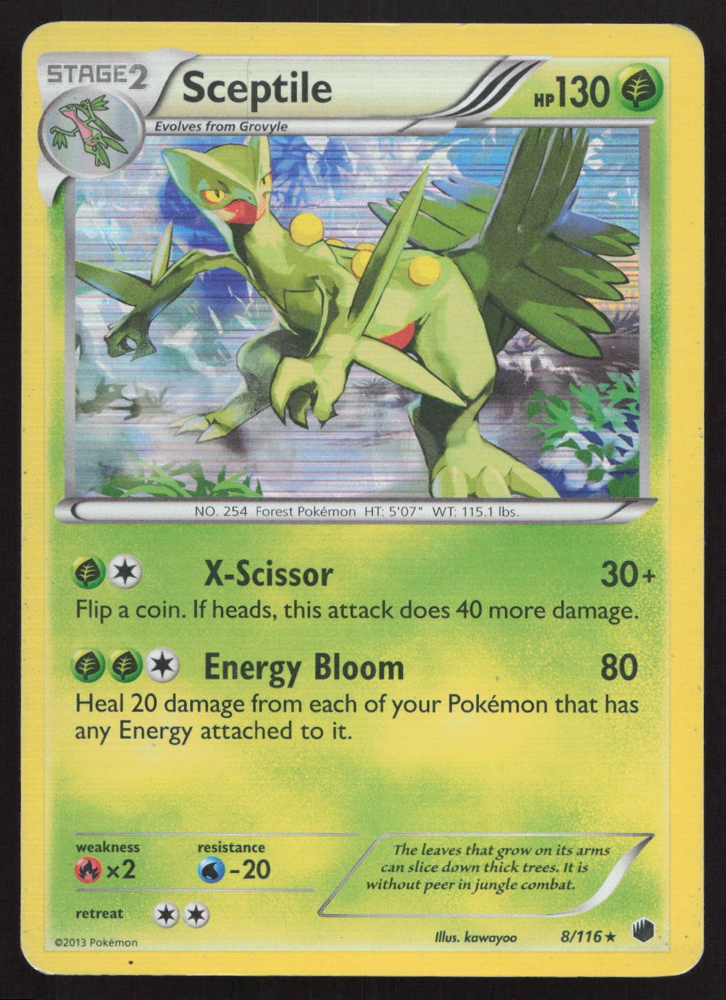 Sceptile 8/116 Holo Rare Plasma Freeze Holo Pokemon HP