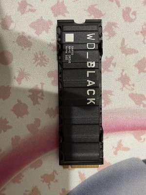 Western Digital WD_BLACK SN850X 1TB M.2 NVMe Internal SSD with Heatsink   Test  