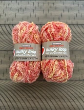 VTG 1977 Coats & Clark Bulky Loop Yarn Lot Of 2 Skien’s 1.76 0Z New