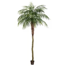 Vickerman 9' Potted Pheonix Palm Tree 1144Lvs - TB180399