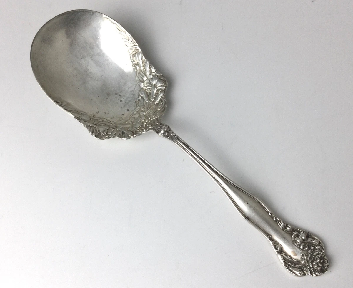Silver serving deals spoon