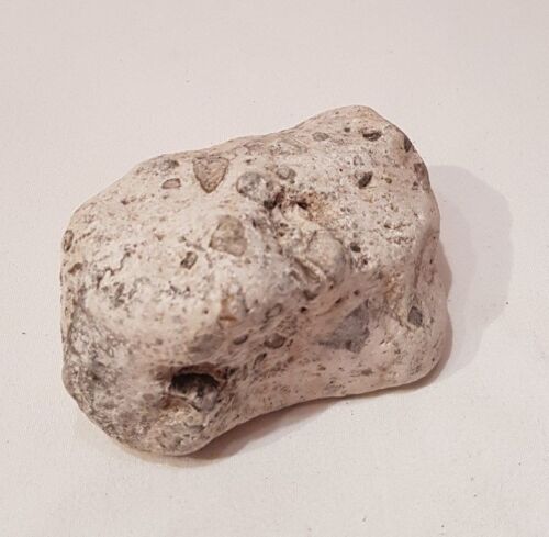 Leopardgestein 9,5x6x7,5cm - 600g Stein für Welse, Fische, Aquarium - Bild 1 von 1