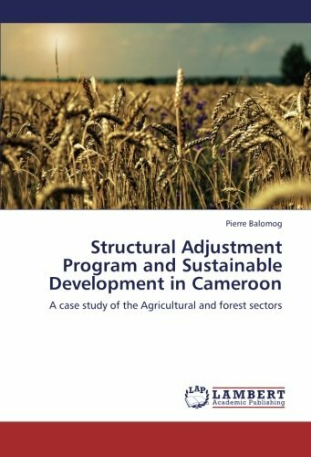 Structural Adjustment Program