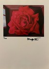 Bild 2 von 12