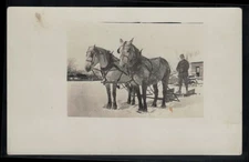 RPPC Postcard Man Standing on Horse Drawn Snow Sled c1910