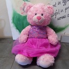 Build-A-Bear Pink Heart Nose Teddy Bear Plush 17” Stuffed BAB w/Pink dress
