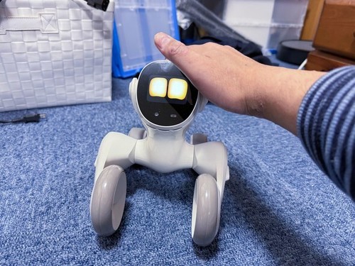 Loona Blue [Pet robot, communication robot, AI robot, artificial intelligence, c