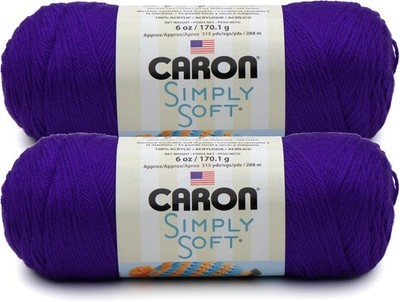 Caron Simply Soft Iris Acrylic Yarn 2x6oz 12oz Total Knitting Crochet Craft
