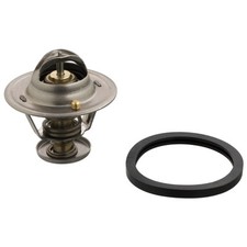 Thermostat Nissan TERRANO