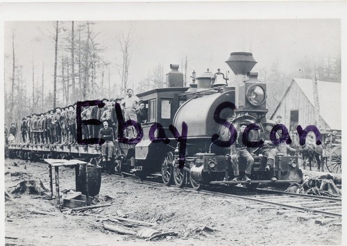 Orig Photo - Lake County Lumber Logging Railroad Train Porter Michigan