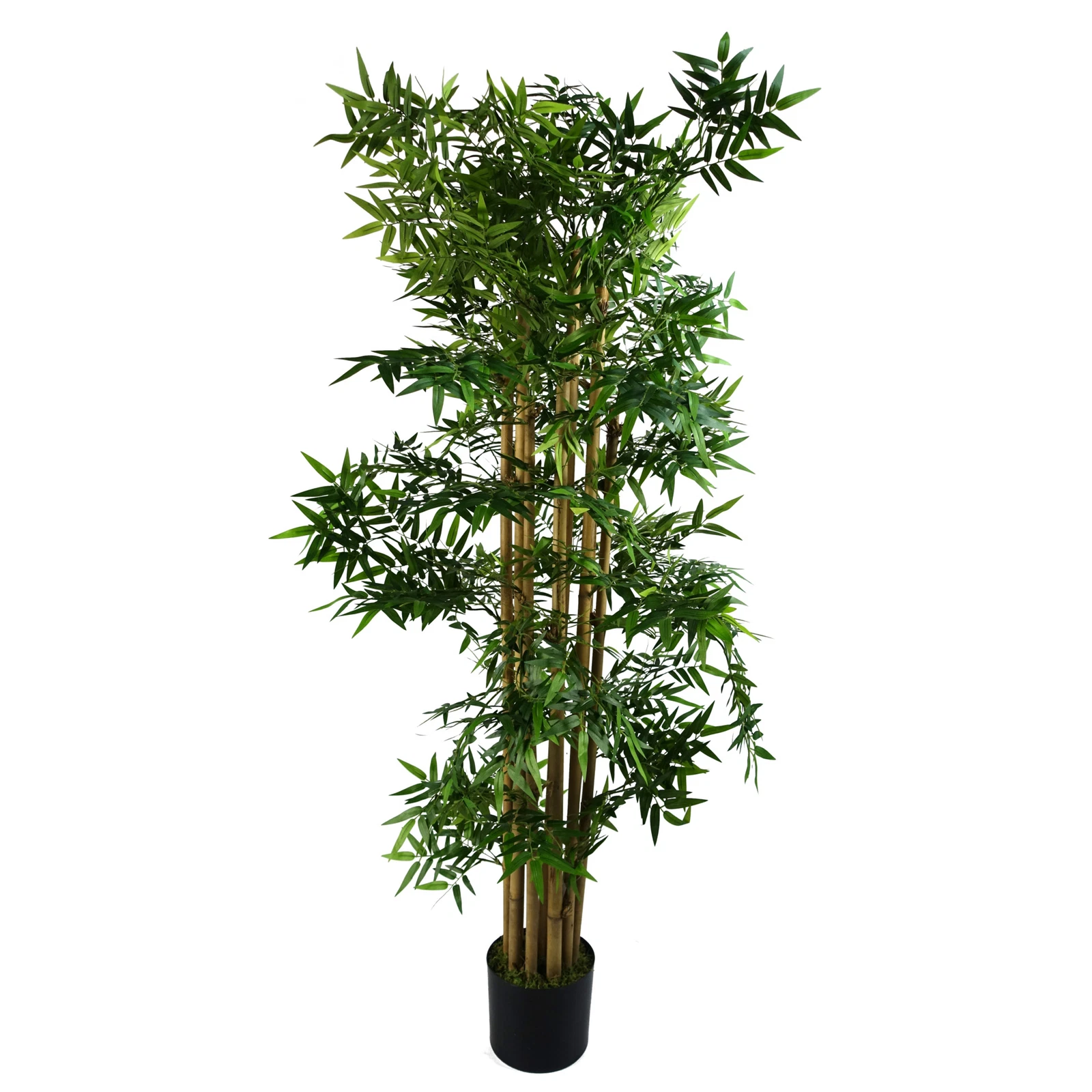 150cm Bamboo - 40533