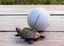 thriftygolfdmv