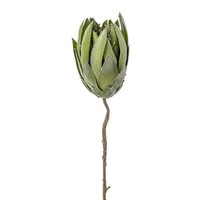 artplants KüNstliche Protea Lindar, GrüN, 70Cm
