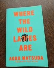 Aoka Matsuda Where The Wild Ladies Are 2020