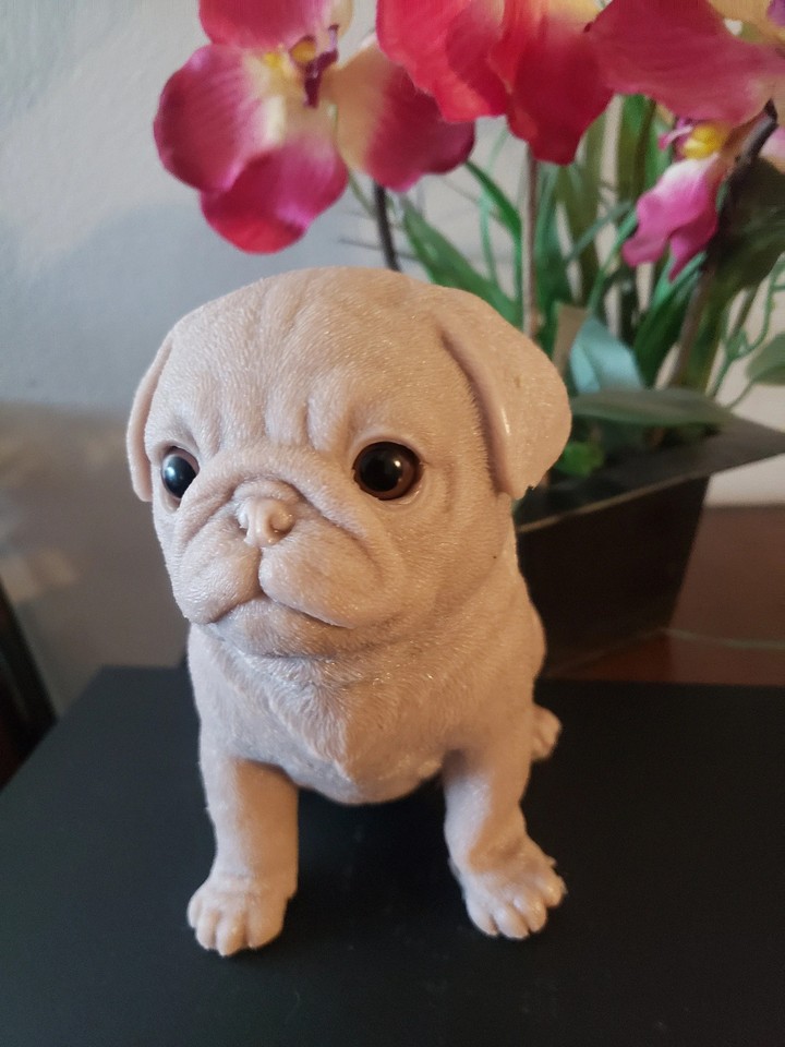 Pet Dog Siliconen Fopspeen, 3 stuks Hond Fopspeen, Hond Fopspeen Kauw Toy, Kitten Kalmerende Fopspeen, Fopspeen voor Kleine Honden, Cartoon Fopspeen Hond Speelgoed, Huisdier Fopspeen, Puppy