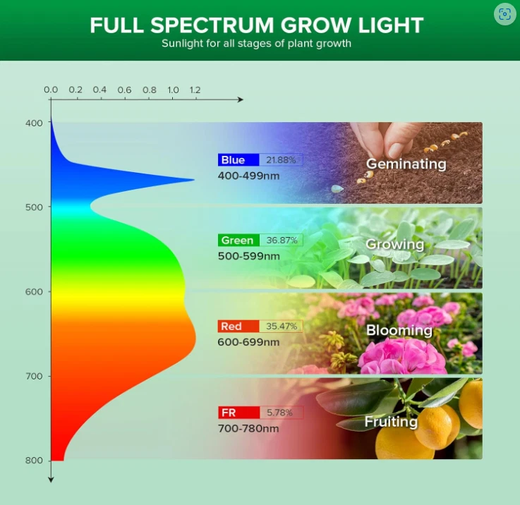 Luz LED para Crecimiento de Plantas SANSI 450W Espectro Completo 3 Cabezas Cuello de Ganso Plántulas Luz Foto 3 de 4