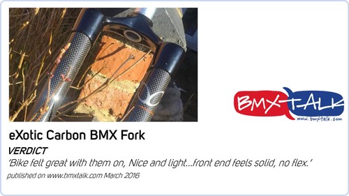 eXotic Rigid Lightweight Alu Fork 1 Inch Steerer PM Disc Specific 39cm 26in MTB - Picture 4 of 12