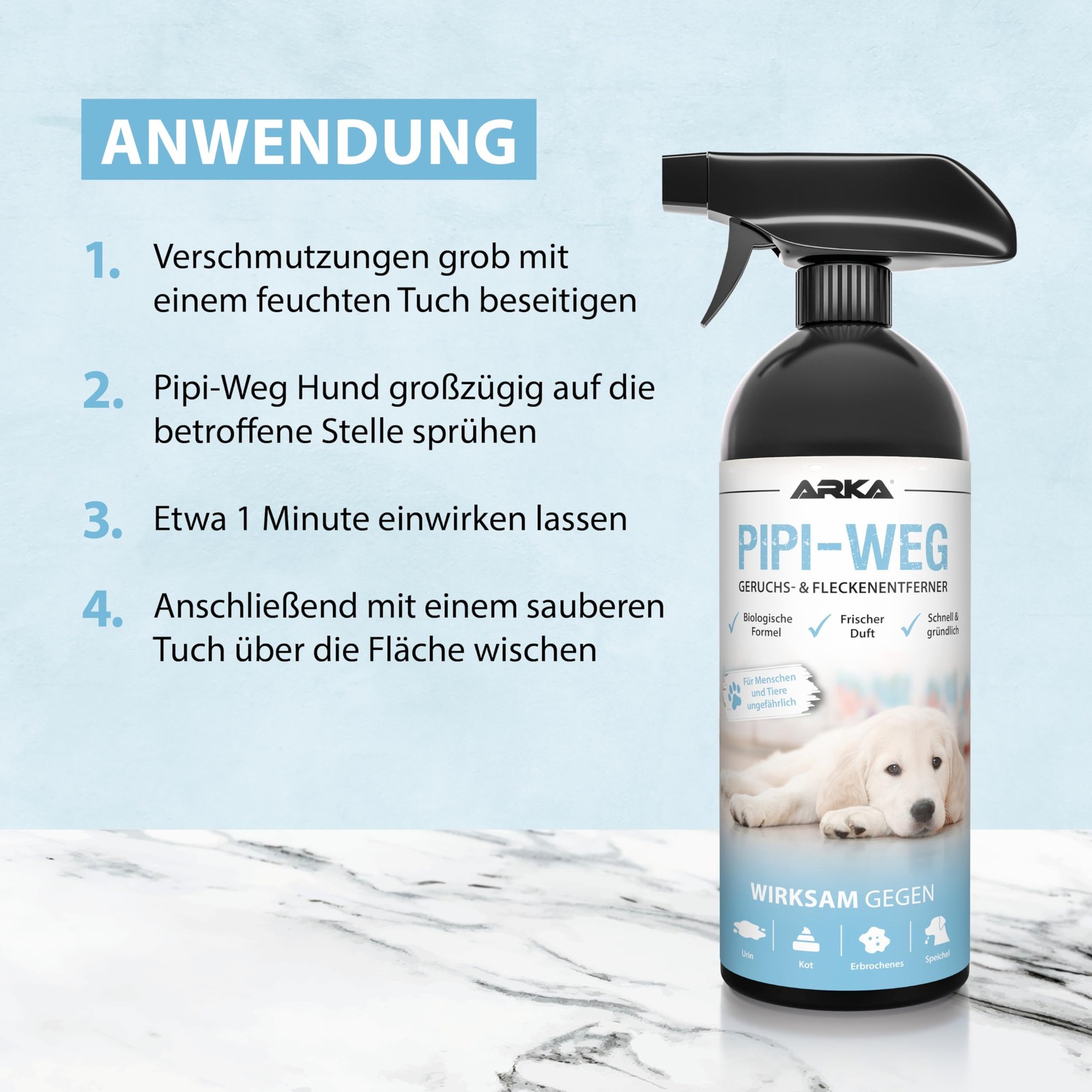 Bild 7 von 7