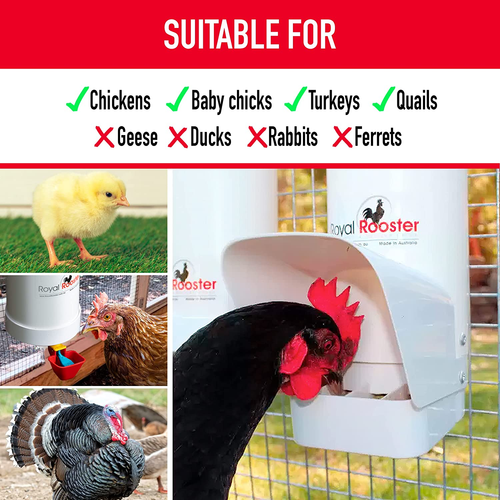 Chicken Feeder and Waterer Set - 7 Lb Capacity Feeder with 1 Gallon Waterer - Picture 3 of 12