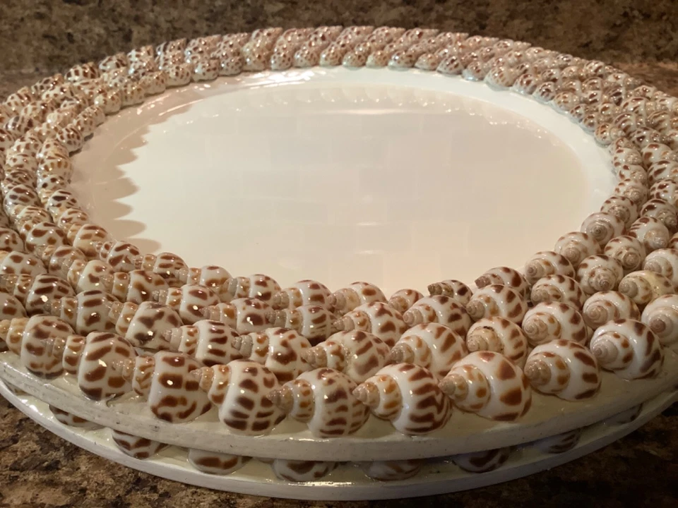 Pier 1 Imports 13" Coastal Beach Sea Life Real Shell Cargador Placa Bandeja Set (2) Foto 4 de 4