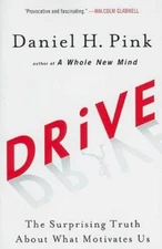Drive: The Surprising Truth About What Motivates Us - Paperback - VERY GOOD